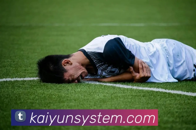 多媒体互动体验